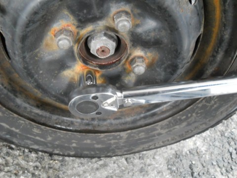 vmx5yvwaak8nzargdrkg_480_480-7516568d.jpg