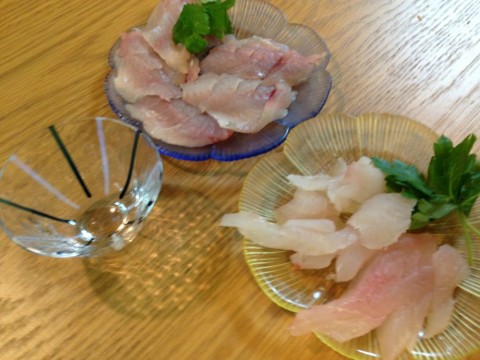 vn2n5jei32b8amfngyto_480_480-b4924986.jpg