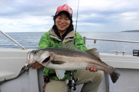 vn3vi6g7555k935rbfmp_480_480-1725db44.jpg