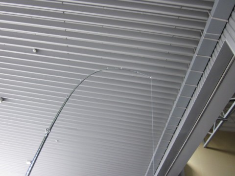 vn6pwnut6bfyeu4fx9de_480_480-c00d8dc4.jpg