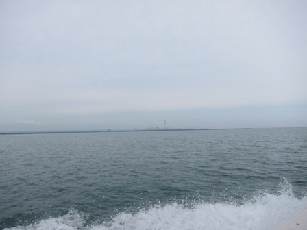 vn6v7degovjbnnyps4zd-9d3d2567.jpg
