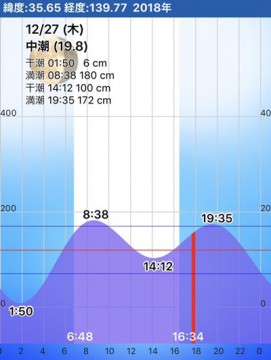 vn97sp3huzizhwp6zy4h_361_480-4a7913d2.jpg