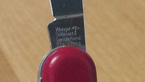 vnc33oge6gucaj9xfzxe_480_480-894c8860.jpg