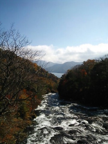 vntisw2f427ujbgdzy9n_480_640-e18c9ea0.jpg