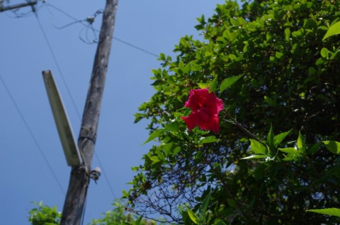 vnzd4ea66jd7tszz2j5f_920_609-7cf0fc94.jpg