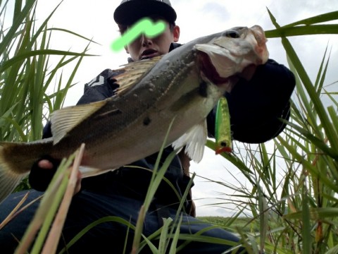 vo5wahidb6m38ugar7cm_920_690-0515c692.jpg