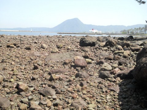 vopkkdrfbdk856y6caax_480_480-2e33c03d.jpg
