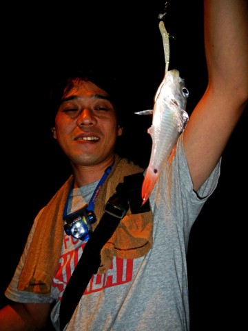 vothrpntfjfrdaorh359_480_480-efbf793f.jpg