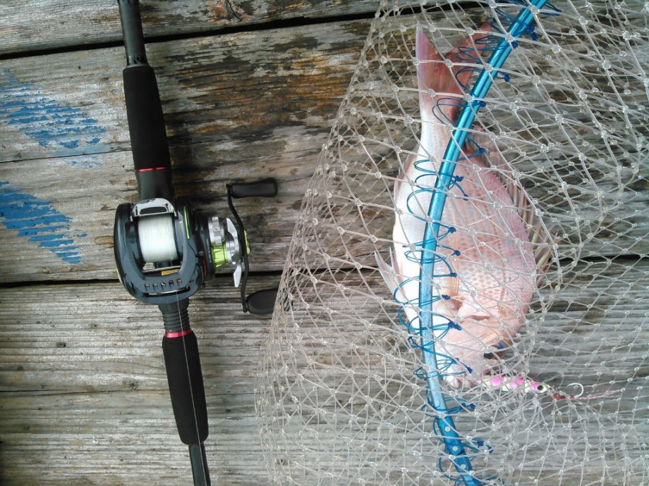 DAIWA - ダイワ ジリオン TW1516XXHLの+centrotecnicodirecthair.com.br