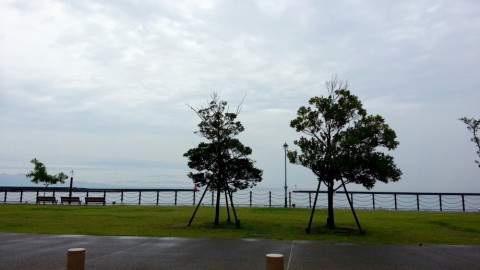 vpb8xx3c89vj456m7c8p_480_480-7faf71c5.jpg