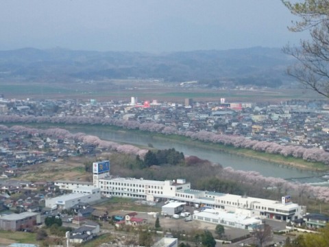 vpcbt68k3kjon9gnz7x6_920_690-df2c0ce0.jpg