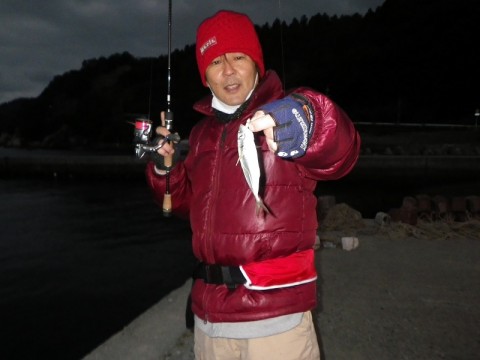 vpg9wbinag4f22b7jj9g_480_480-756ab17b.jpg