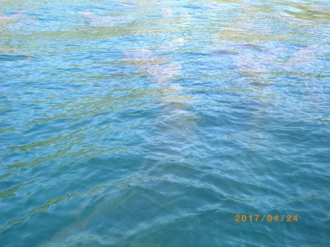 vpwxj2yi3akw7w6oc3gv_480_480-18036885.jpg