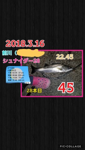 vr8p85fi559wo45uwmck_480_480-f0e12dc4.jpg