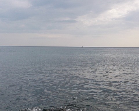 vrcakomajbiprmbnbu72_480_480-cdf2039c.jpg