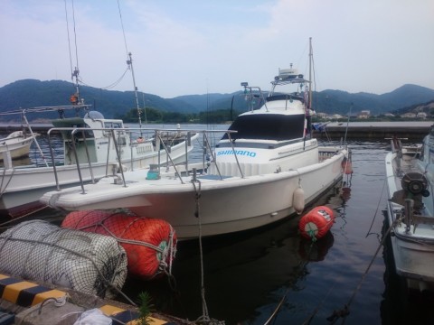 vrfstm5okgr32w89979a_480_480-61568aa2.jpg