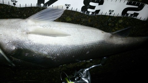 vrjw3mnanusdgtb5whnj_920_517-890ebf21.jpg