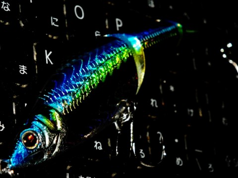 vrkfv56mb4hiyvegebg5_480_480-fb391a67.jpg