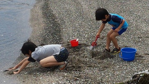 vrko3n568cg9pxouwsx2_920_518-d397a311.jpg