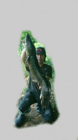vro44u82ngaerv3z7z8g_518_920-ee7fd10d.jpg