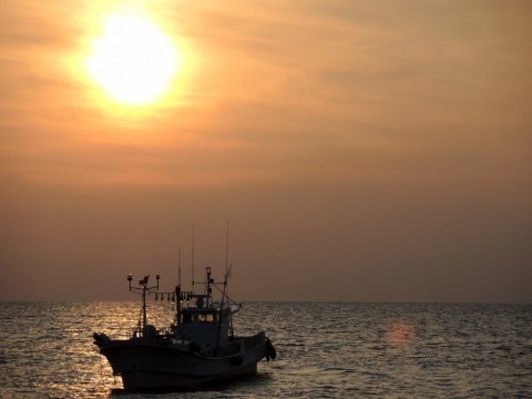 vrs2o25vifccuy7dnbbe_480_480-827b6388.jpg