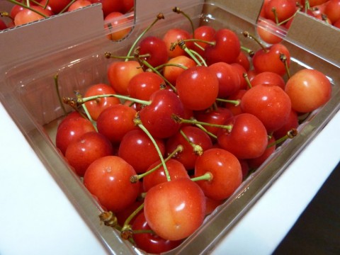 vru273issonmsmevzydy_480_480-776344b9.jpg