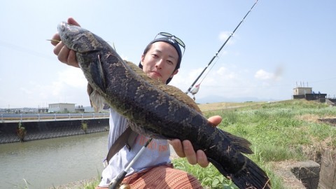 vry3hdk3rgyyutgzrvex_480_480-2ca36198.jpg