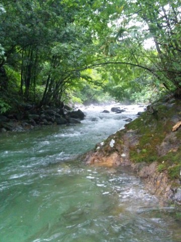 vrzvztt35iu4pofgc7yr_480_480-c9c18510.jpg