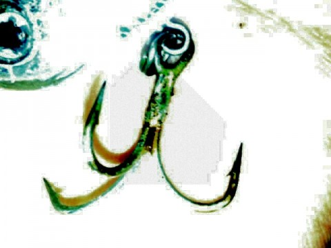 vseh7wsiurm9ip37goj5_640_480-76a12166.jpg