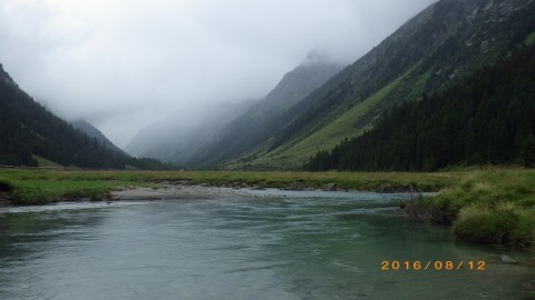 vsmi28ok8kf8yu8wfe2i_480_480-e29c4af7.jpg