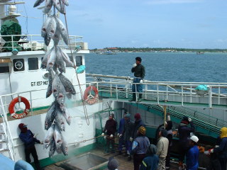 vt3ze6apf5dg7j8298oi-d0b0a9cb.jpg
