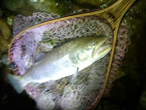 vtcndcbyys3icw4996hv_920_690-404f206d.jpg