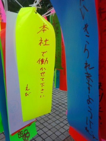 vtn6yitmnfy5c3vftfwk_690_920-cbd3cd0a.jpg