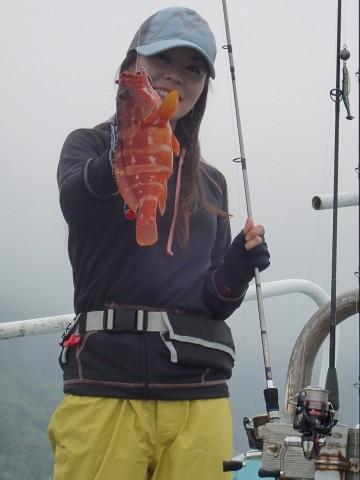 vtnu3nf5adrsgv664bd6_480_480-57223270.jpg