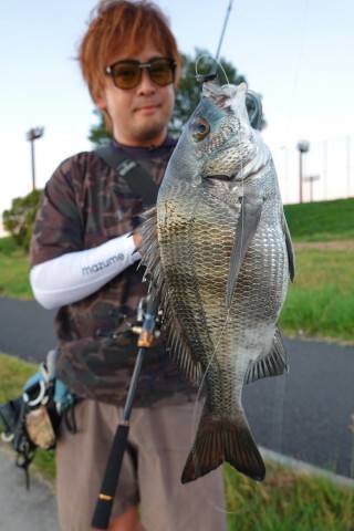 vtri3tac8gghkwphfwc2_480_480-00d1ed09.jpg