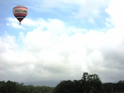 vuk77pnkbg368ud6xk4f_480_480-c9703889.jpg