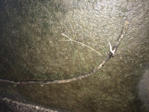 vumprgag57328eatknw3_920_690-c7df3165.jpg