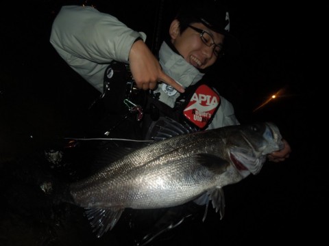 vv7m2988p35dyf5dj37j_480_480-f3bbcb5c.jpg