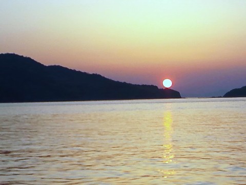 vvamgwi874oe99o22tpn_480_480-b4d8278b.jpg