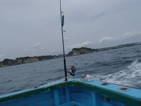 vvdyvtfswh5in63hw5mh_480_480-6fc6bae8.jpg