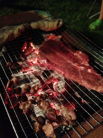 vvgc6jgojupic5fbdn5s_480_480-a55166b2.jpg