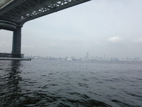 vvvn44j3wdmz5kwg9uza_480_480-111c088b.jpg