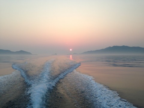 vvz6fnrit3k4kf63z4fe_480_480-4df5c5b9.jpg