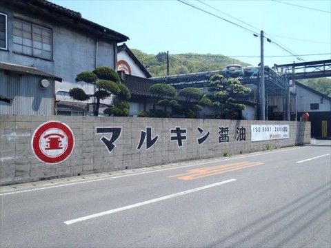vwanxhyrszzvmbr346jf_480_480-7804003e.jpg