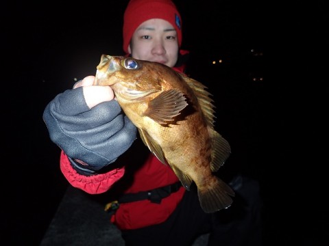 vwoha7cm4vxujccubwfg_480_480-a6ea6416.jpg