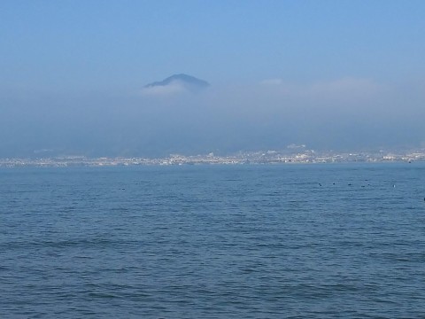 vwyjpeugj59eoenc6p5m_480_480-9151b7f4.jpg