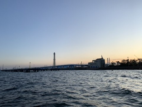 vxdkeudya79h5kjf5v8x_480_361-667c0161.jpg