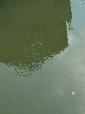 vxfs8irtyvad6k4hgjd6_690_920-0947b1ca.jpg