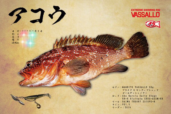 Bite Blog デジタル魚拓 Re Fish