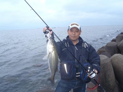 vycnajzfoxmst8bzopk4_480_480-9912dad1.jpg
